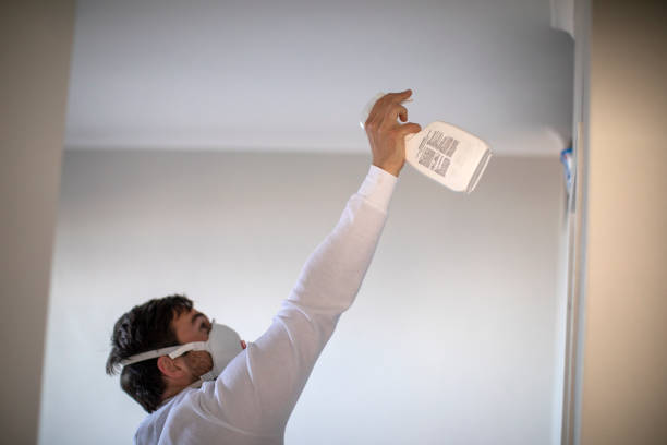 Best Crawl Space Mold Removal  in Templeton, CA