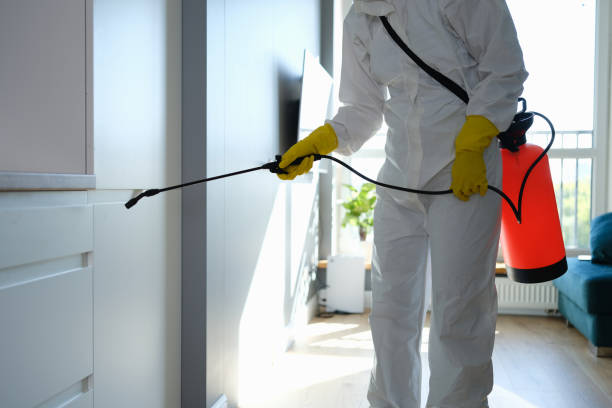 Best Toxic Mold Removal  in Templeton, CA