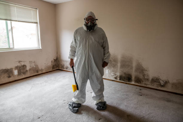 Best Mold Testing  in Templeton, CA